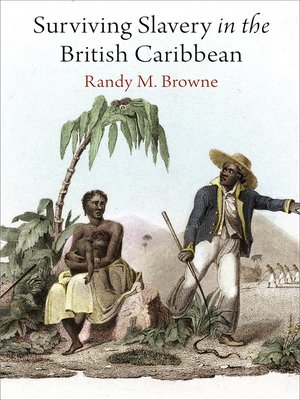 cover image of Surviving Slavery in the British Caribbean